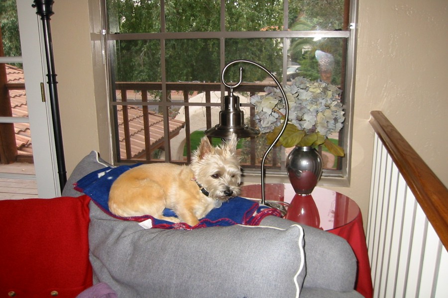 ../image/my maisy.jpg